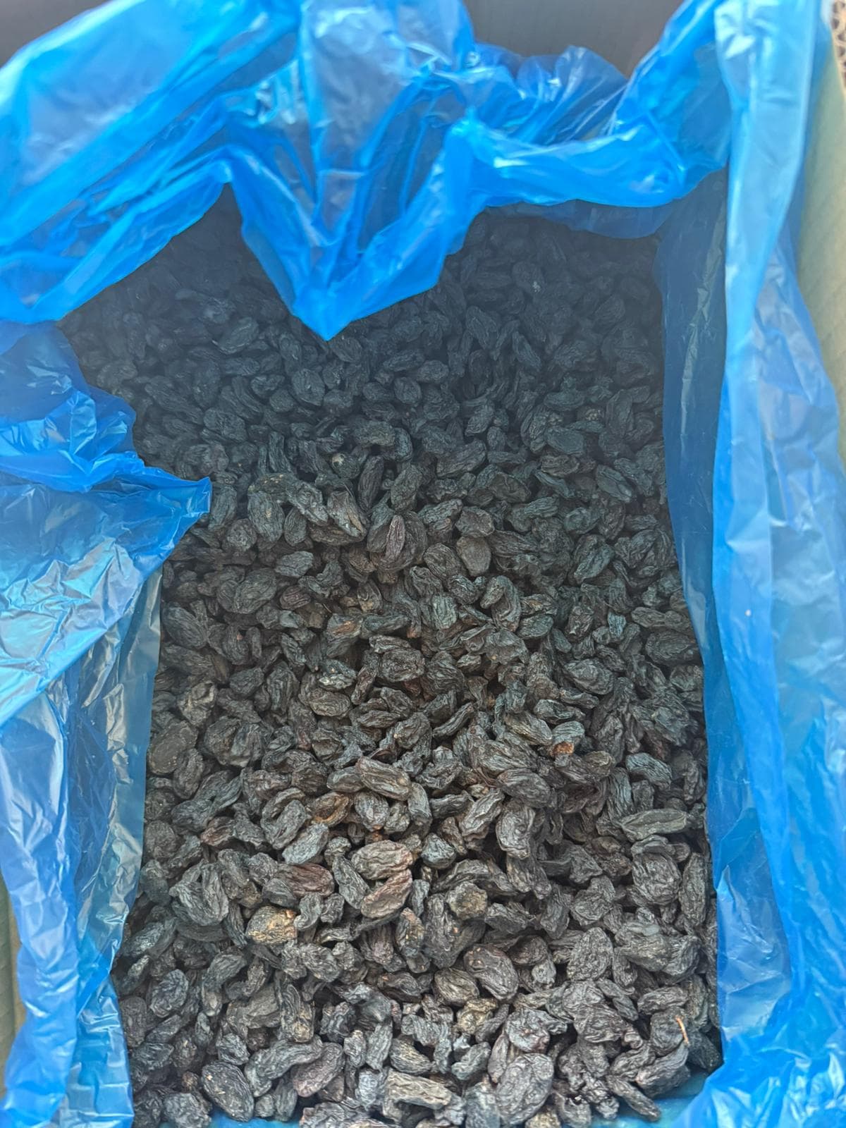 ÇEKİRDEKSİZ ÖZBEK ÜZÜM